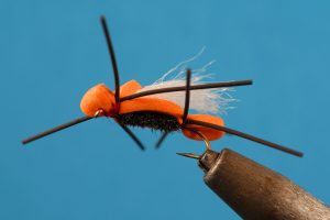 Indicator Fly