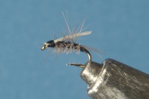 Midge Dry