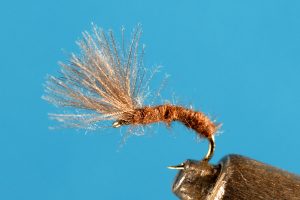 Mole Fly