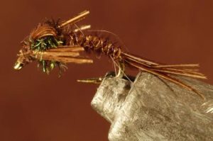 Pheasant Tail