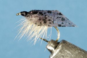 Web Wing Caddis