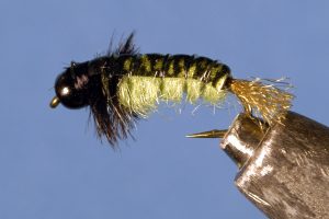 Uncased Caddis Nymph