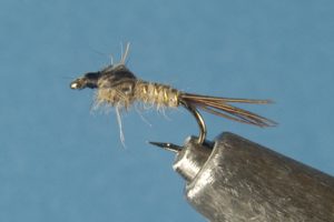Gold-Ribbed Hare's Ear