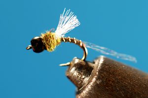 Cheeseman Emerger