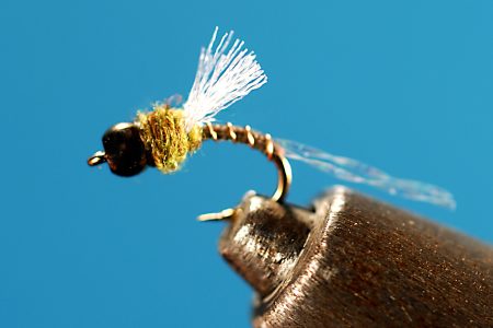 Cheeseman Emerger