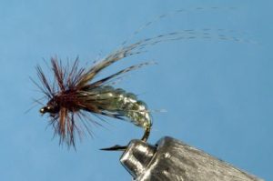Graphic Caddis
