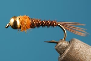 Frenchie Pheasant Tail