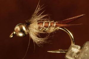 March Brown Biot Bug