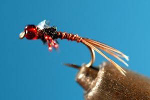 Red Eyed Nymph