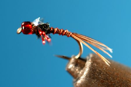 Red Eyed Nymph