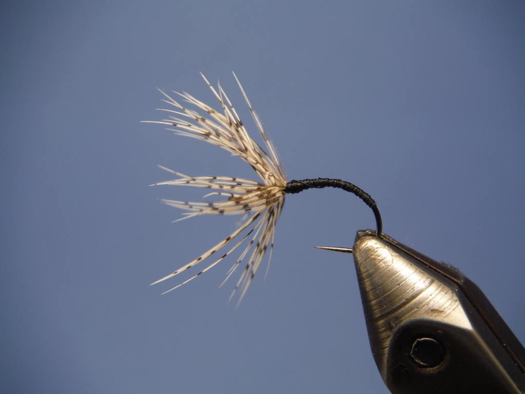 Simple Sakasa Kebari (Reverse Hackle) Dragon Flyfishing