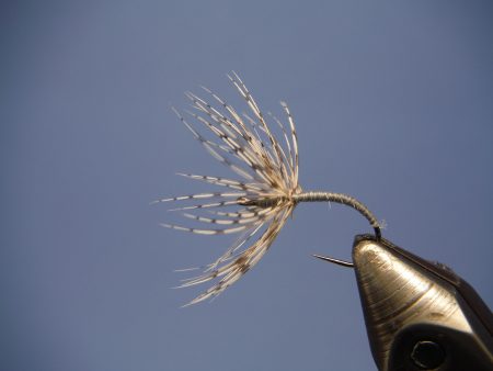 Sakasa Kebari Tenkara Fly Fishing Trout