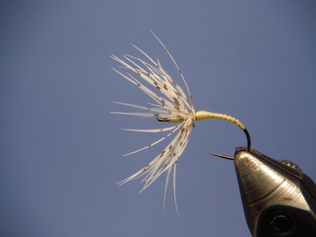 Sakasa Kebari Tenkara Fly Fishing Trout