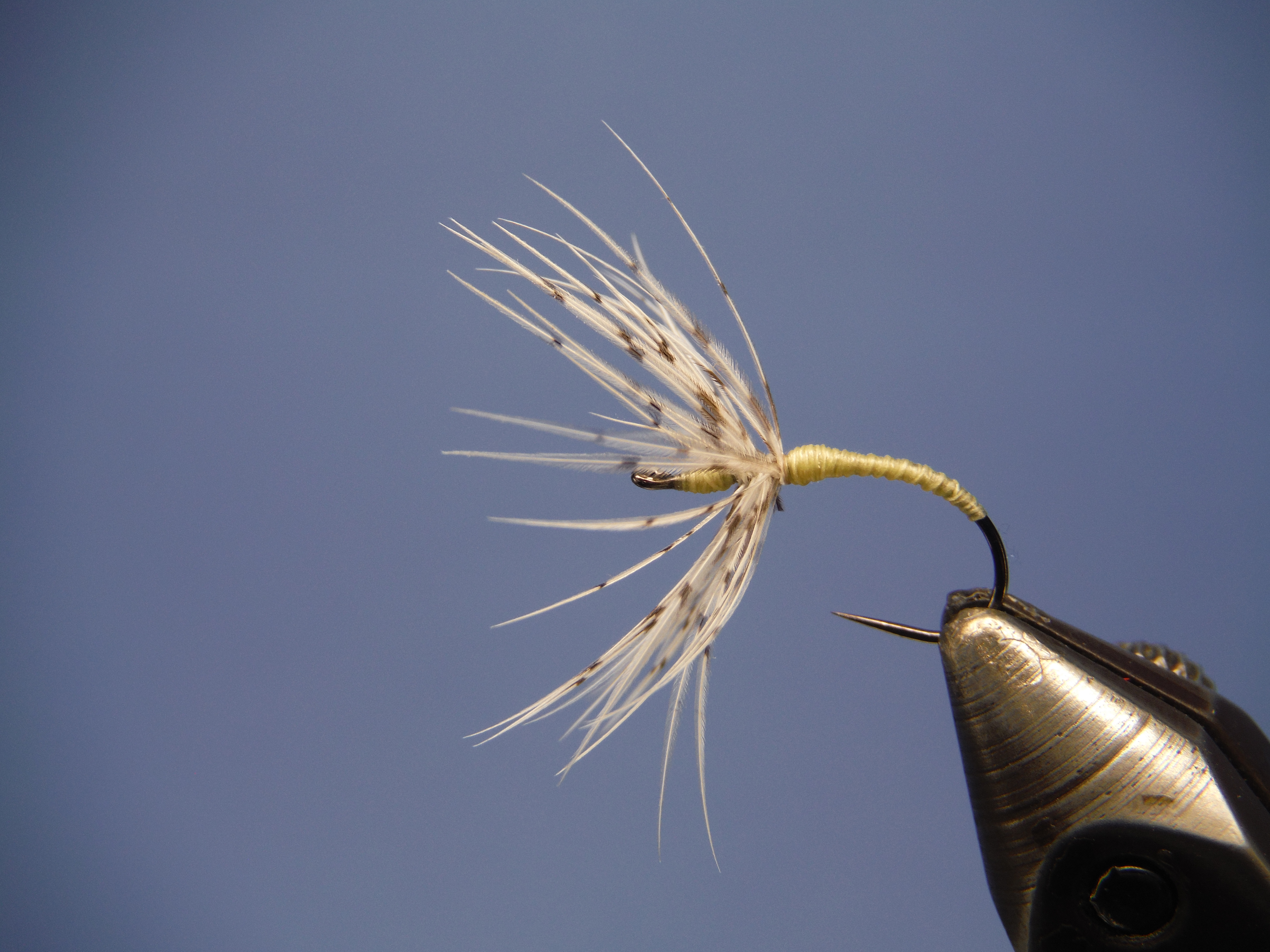Simple Sakasa Kebari (Reverse Hackle) Dragon Flyfishing