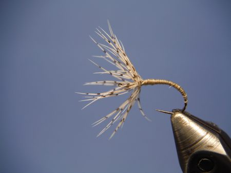 Sakasa Kebari Tenkara Fly Fishing Trout