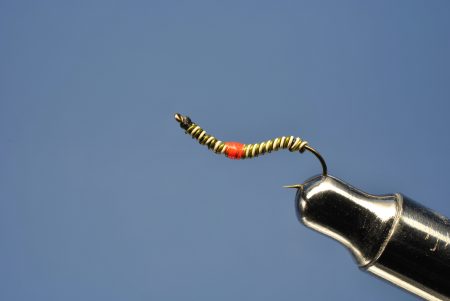 Wire Annelid, Green-Tan